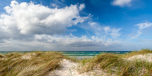  Eines der größten Individual-Fotoarchive zum Thema Deutsche Nordsee und Ostsee von Mario Reinstadler unter: www.meeresfoto.de Das Foto zeigt: Die Dünen von Heidkate an der Ostsee