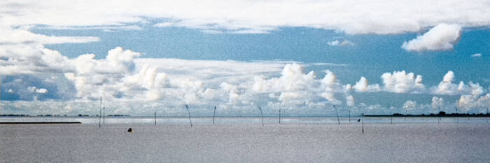 Husumer Bucht